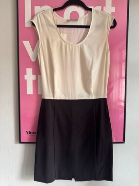 Banana Republic Cream and Black Sleeveless Colorblock Mini Dress